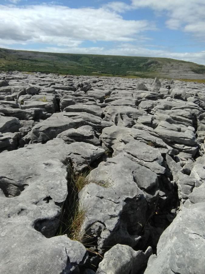 Turlough  Burren Rock Farmhouse B&B المظهر الخارجي الصورة