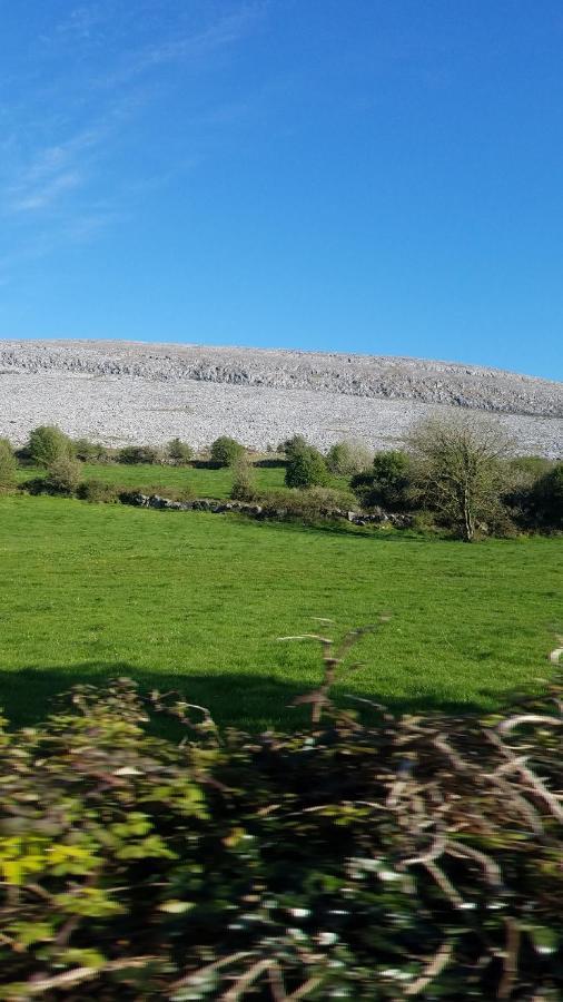Turlough  Burren Rock Farmhouse B&B المظهر الخارجي الصورة