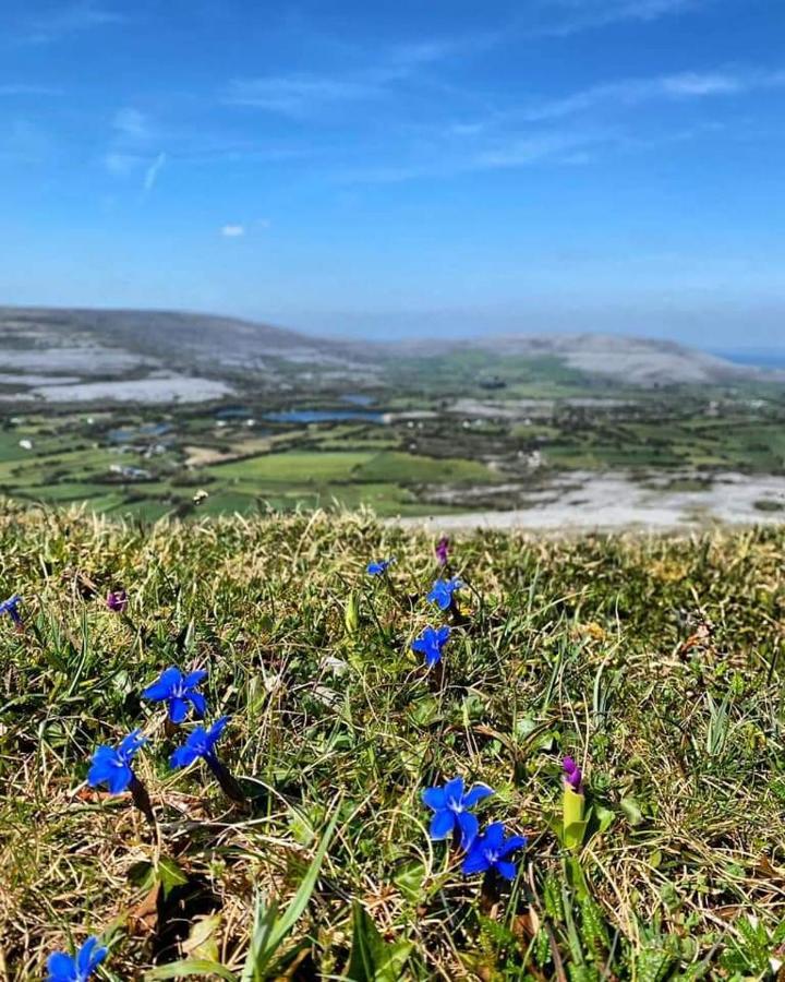 Turlough  Burren Rock Farmhouse B&B المظهر الخارجي الصورة